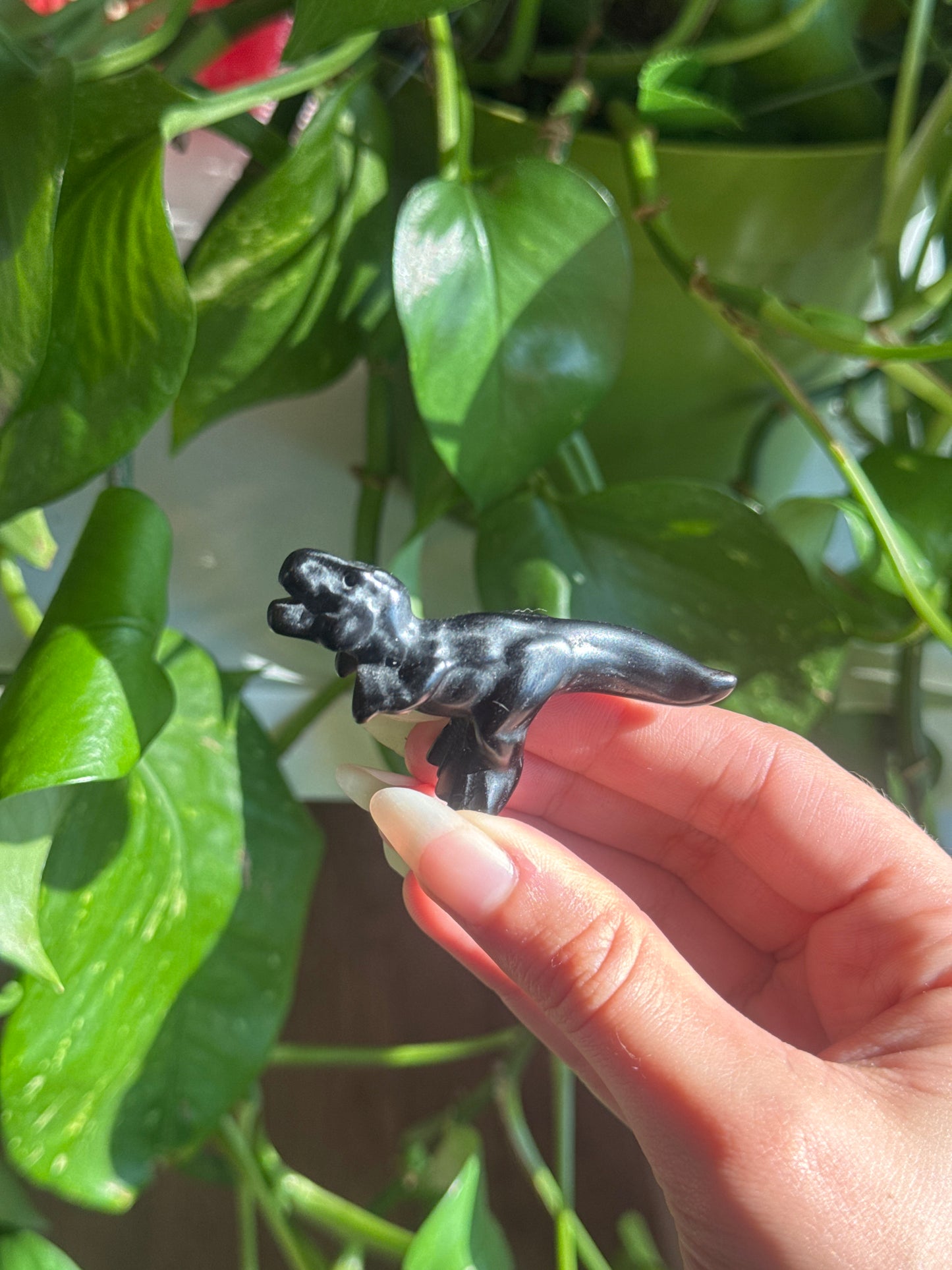 Obsidian T-Rex