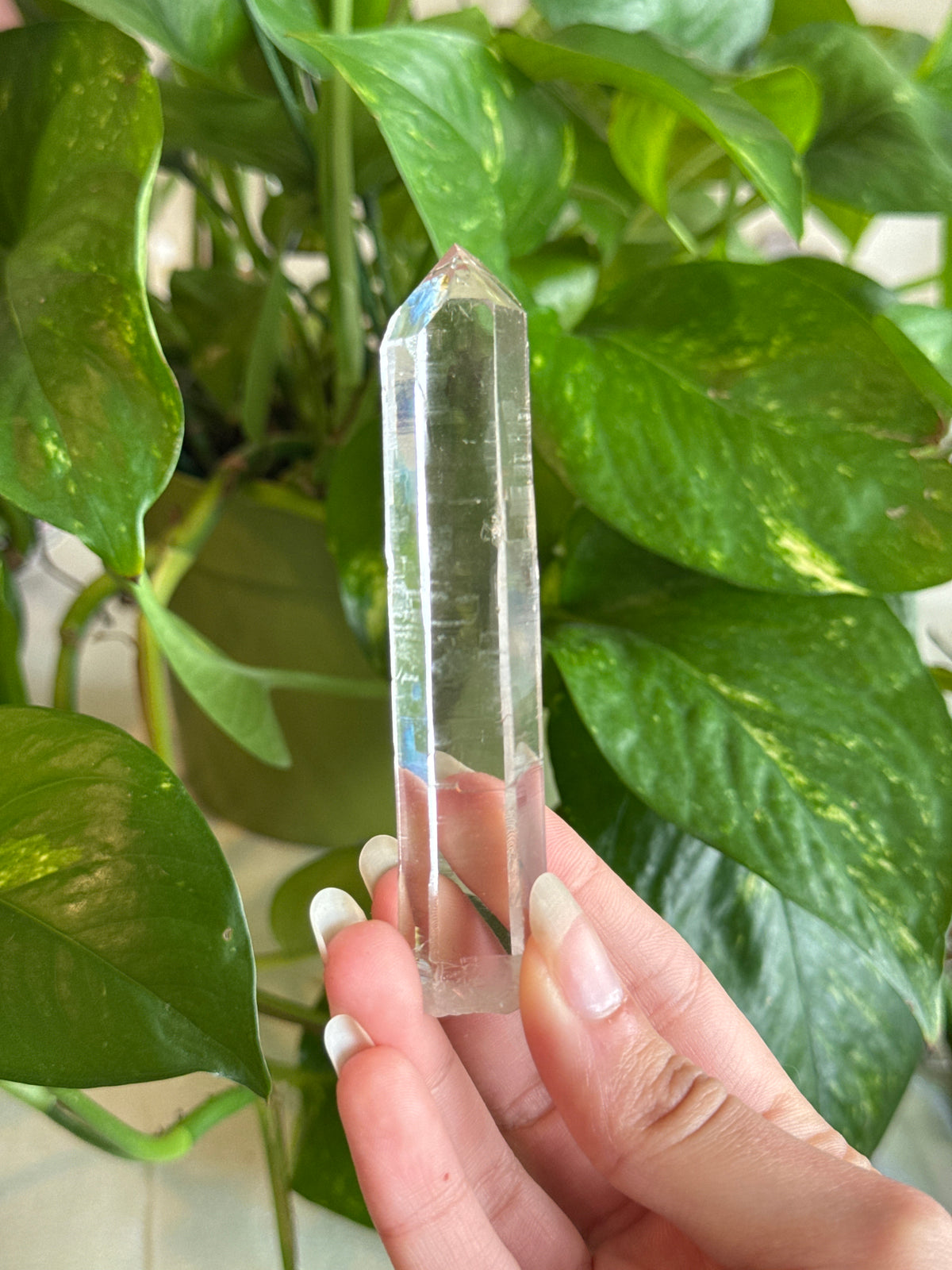 High Grade Lemurian Quartz Scepter Point