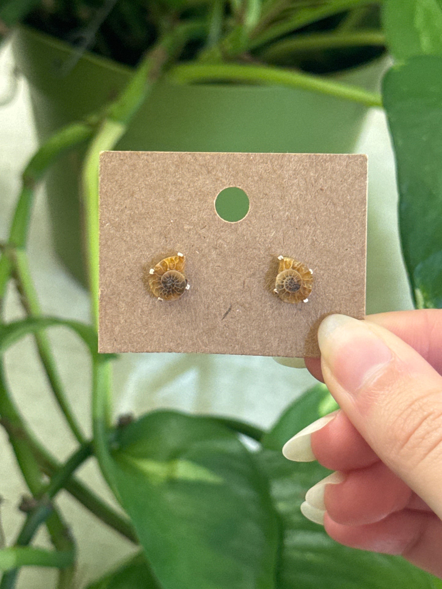 Ammonite Stud 925 Sterling Silver Earring