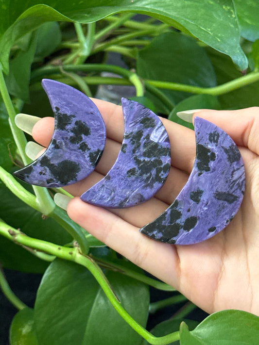 Charoite Crescent Moon | You Pick