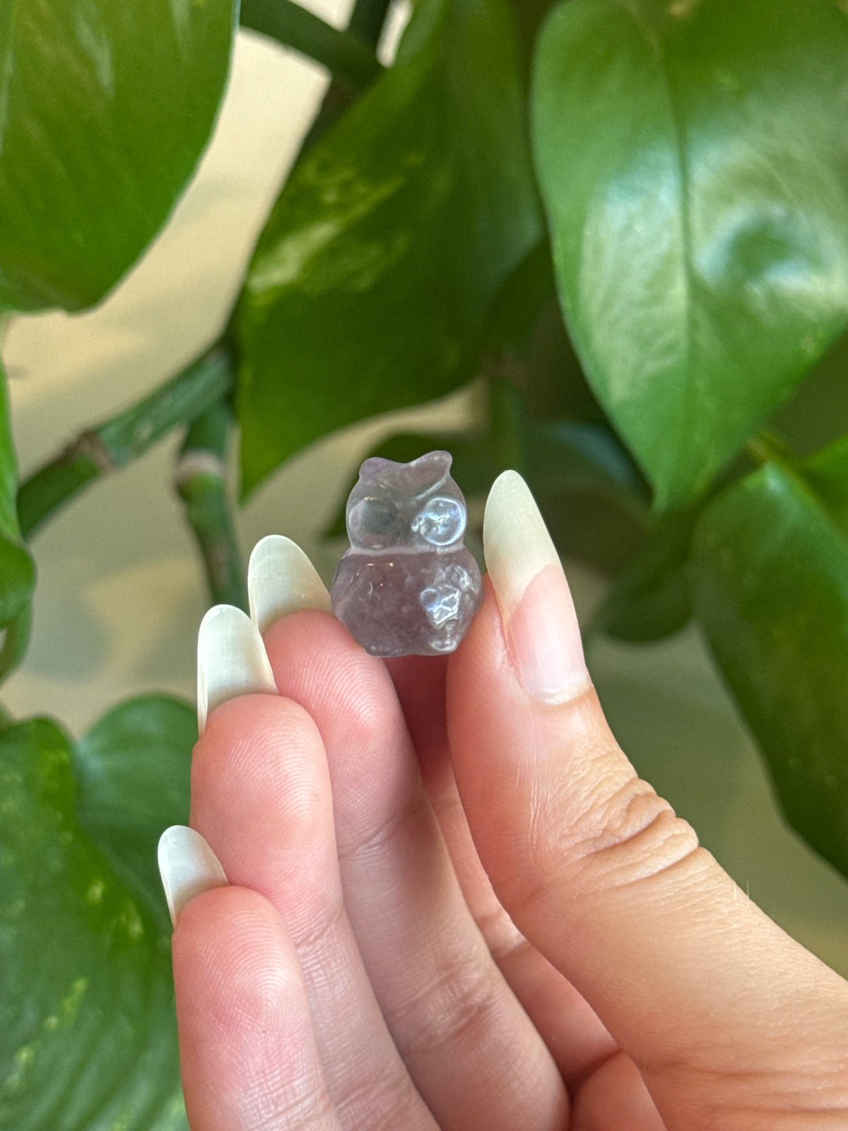 Fluorite Owl