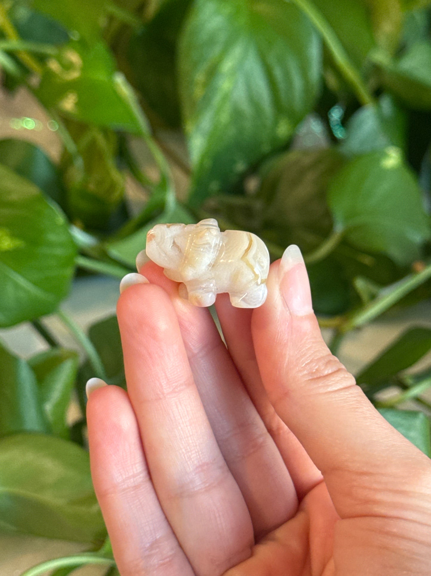 Flower Agate Mini Elephant Carving