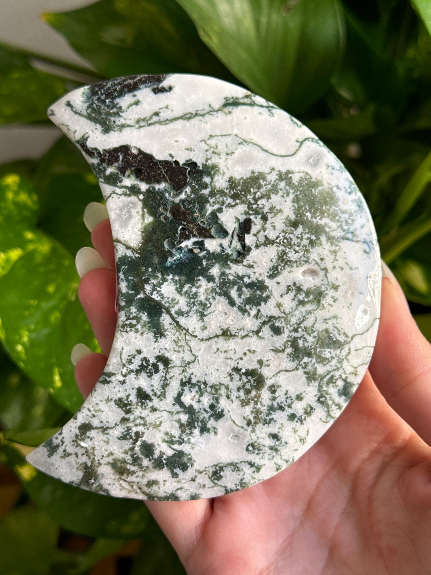 Tree Agate Moon