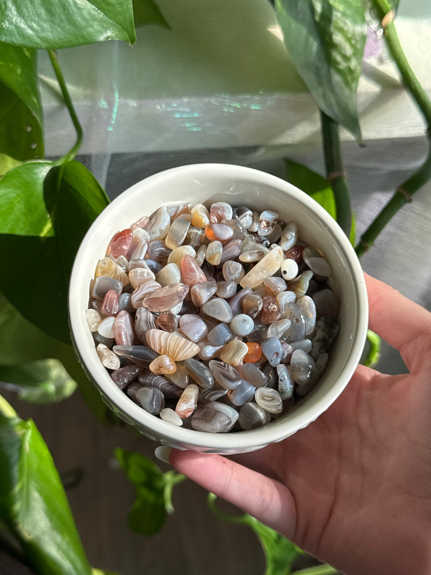 Botswana Agate Chips