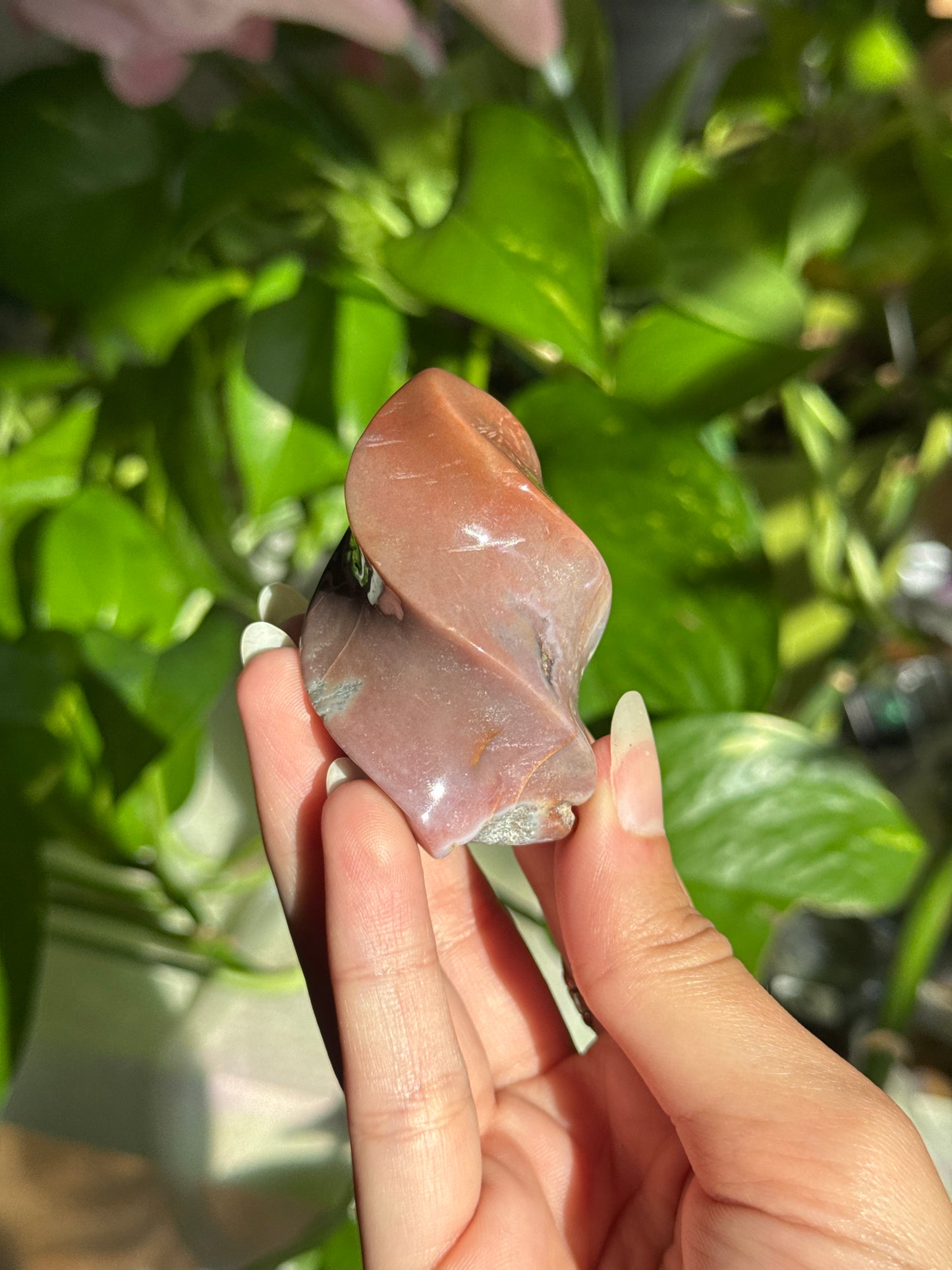 Pastel Sea Jasper Flame D