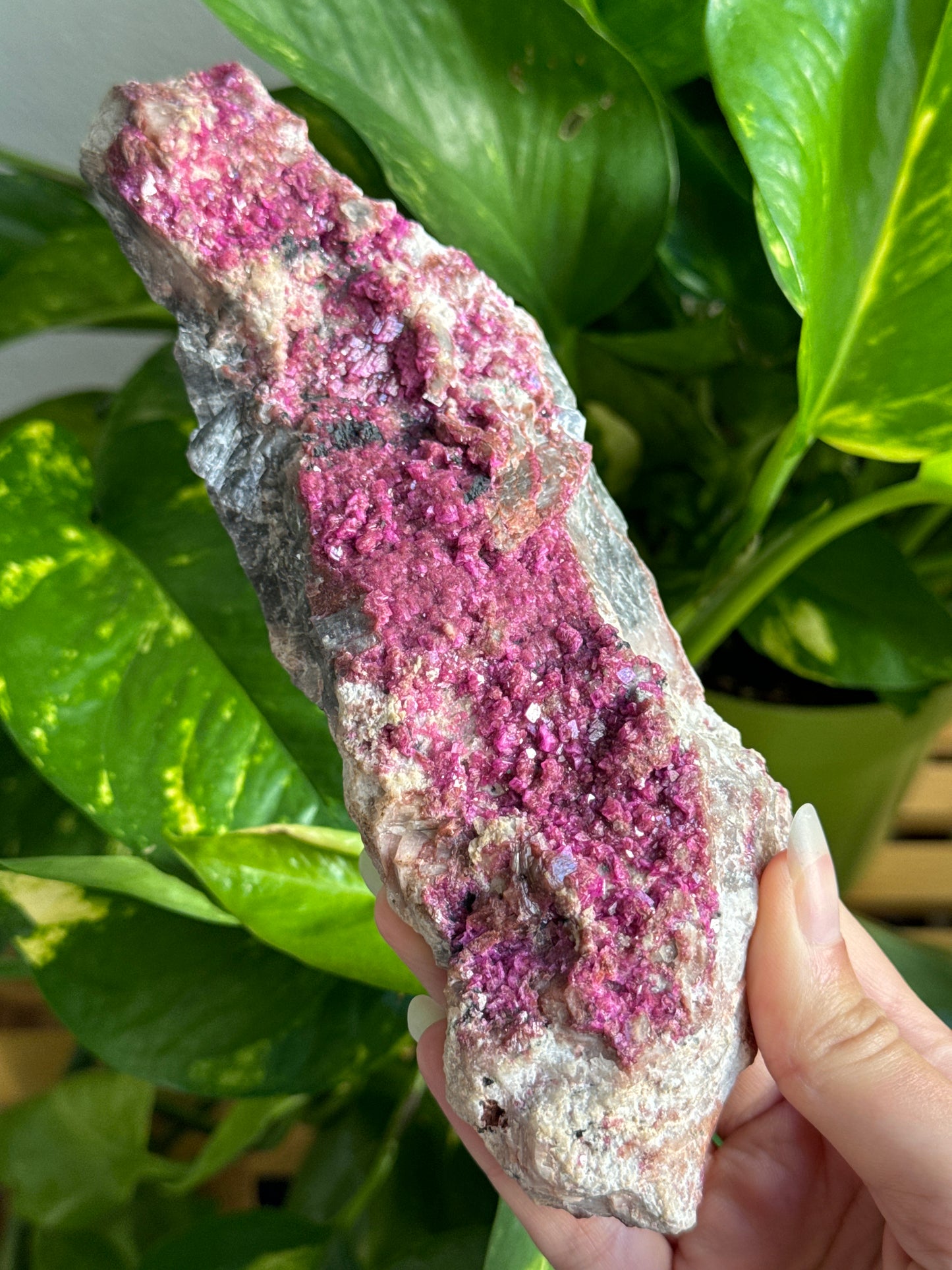 Large Pink Cobalto Calcite & Smoky Quartz