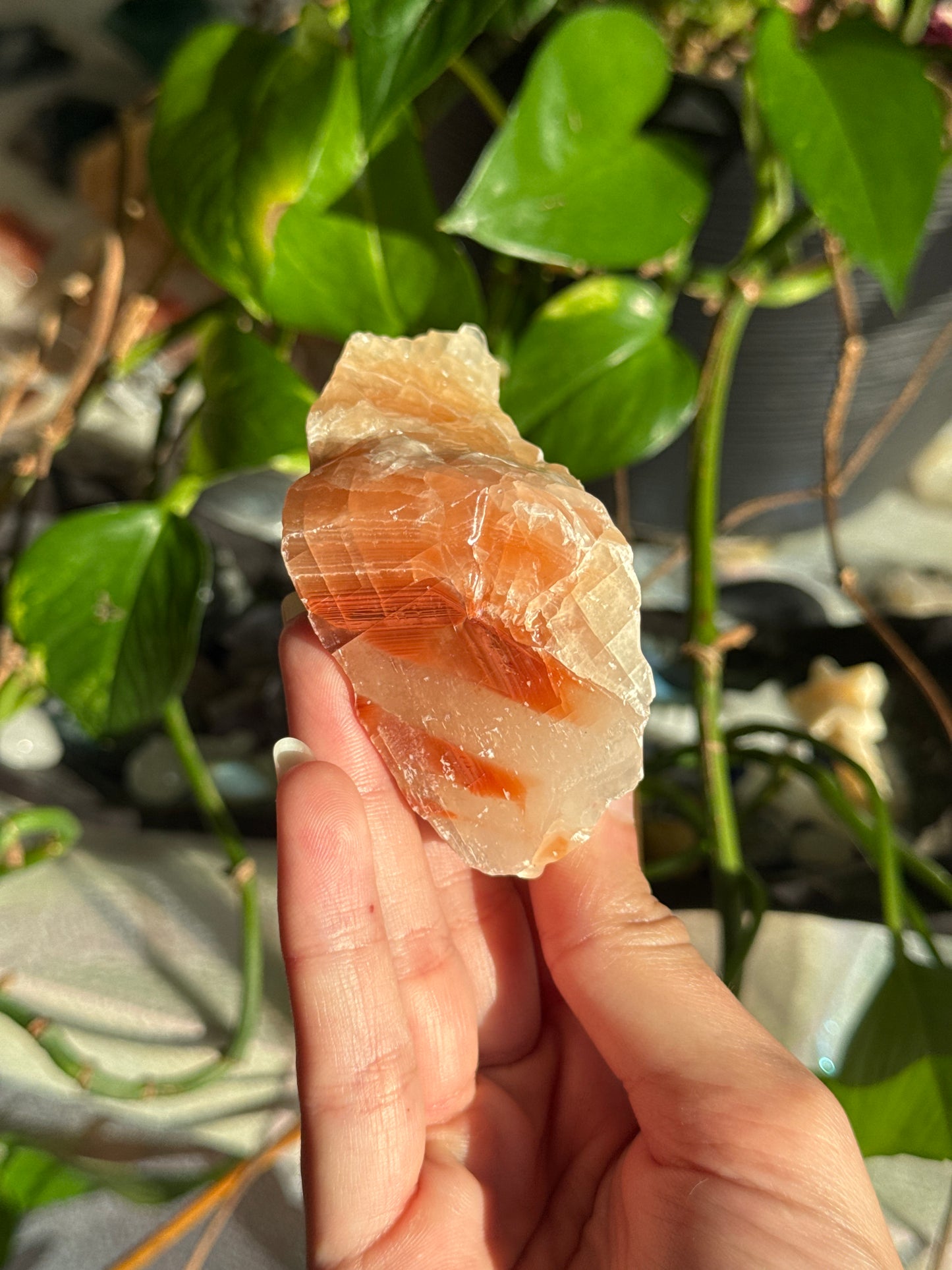 Peachy Banded Tri-Color Mexican Calcite A