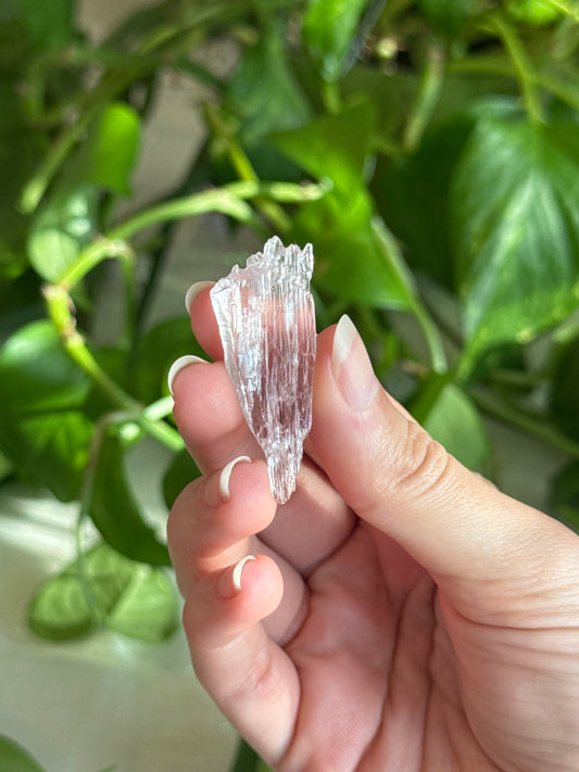 Gem Kunzite High Clarity Specimen