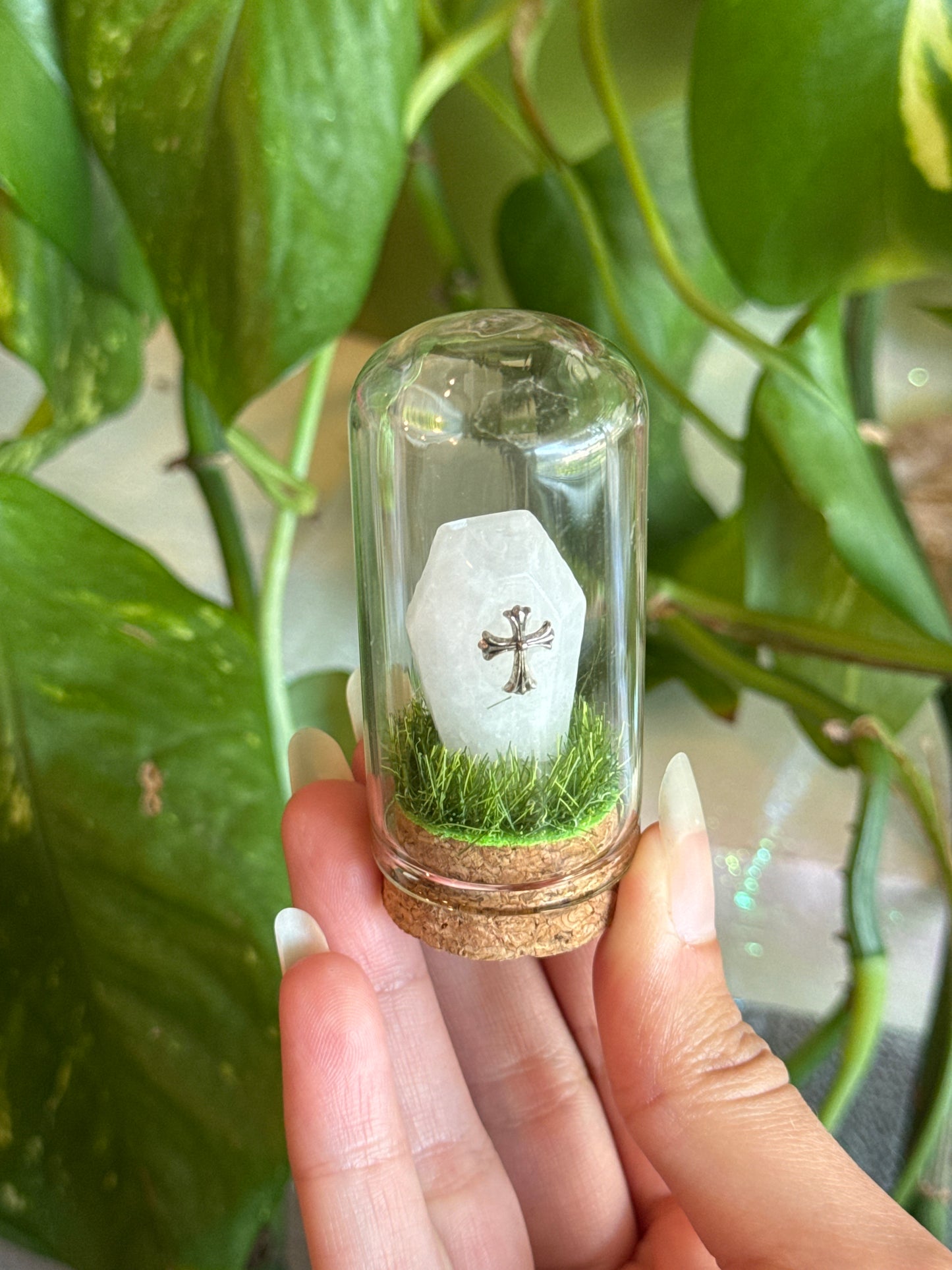 Clear Quartz Coffin mini Crystal Terrarium