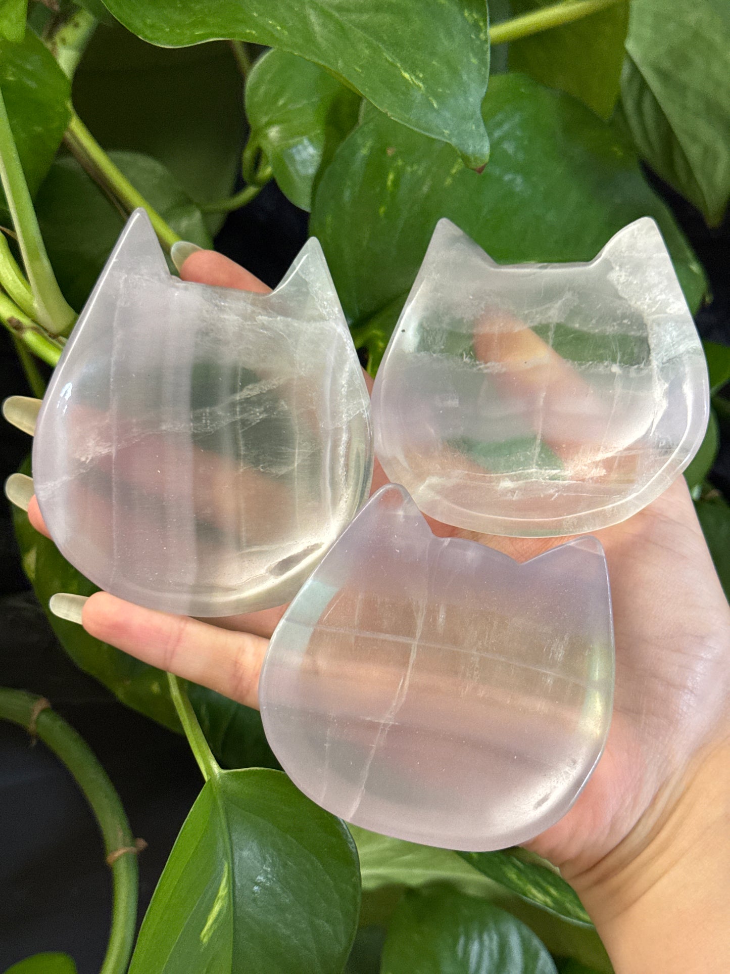 Yttrium Fluorite Kitty Bowl | You Pick