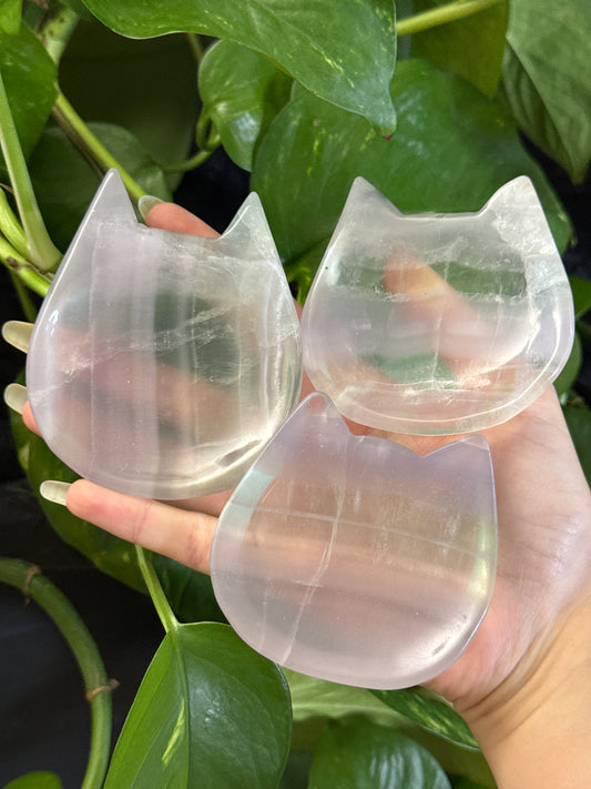 Yttrium Fluorite Kitty Bowl | You Pick