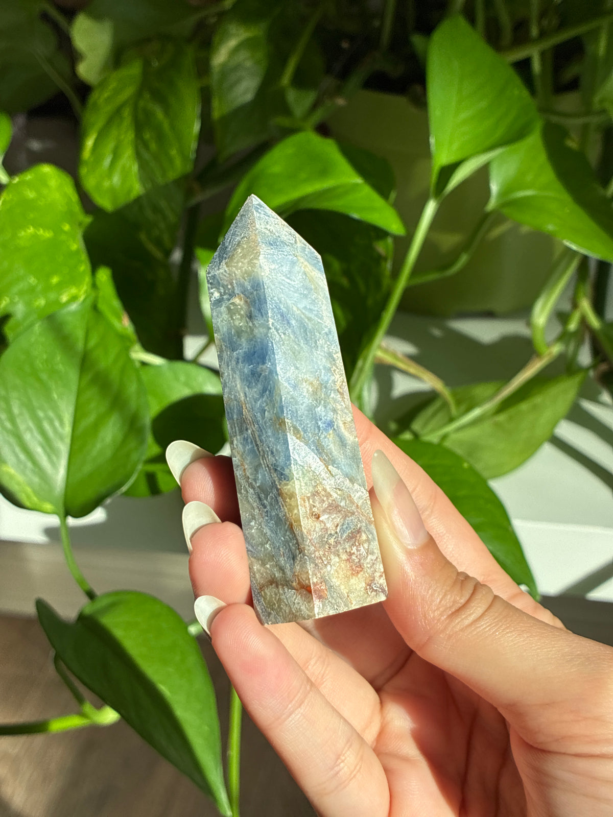 Flashy Kyanite Tower with Garnet
