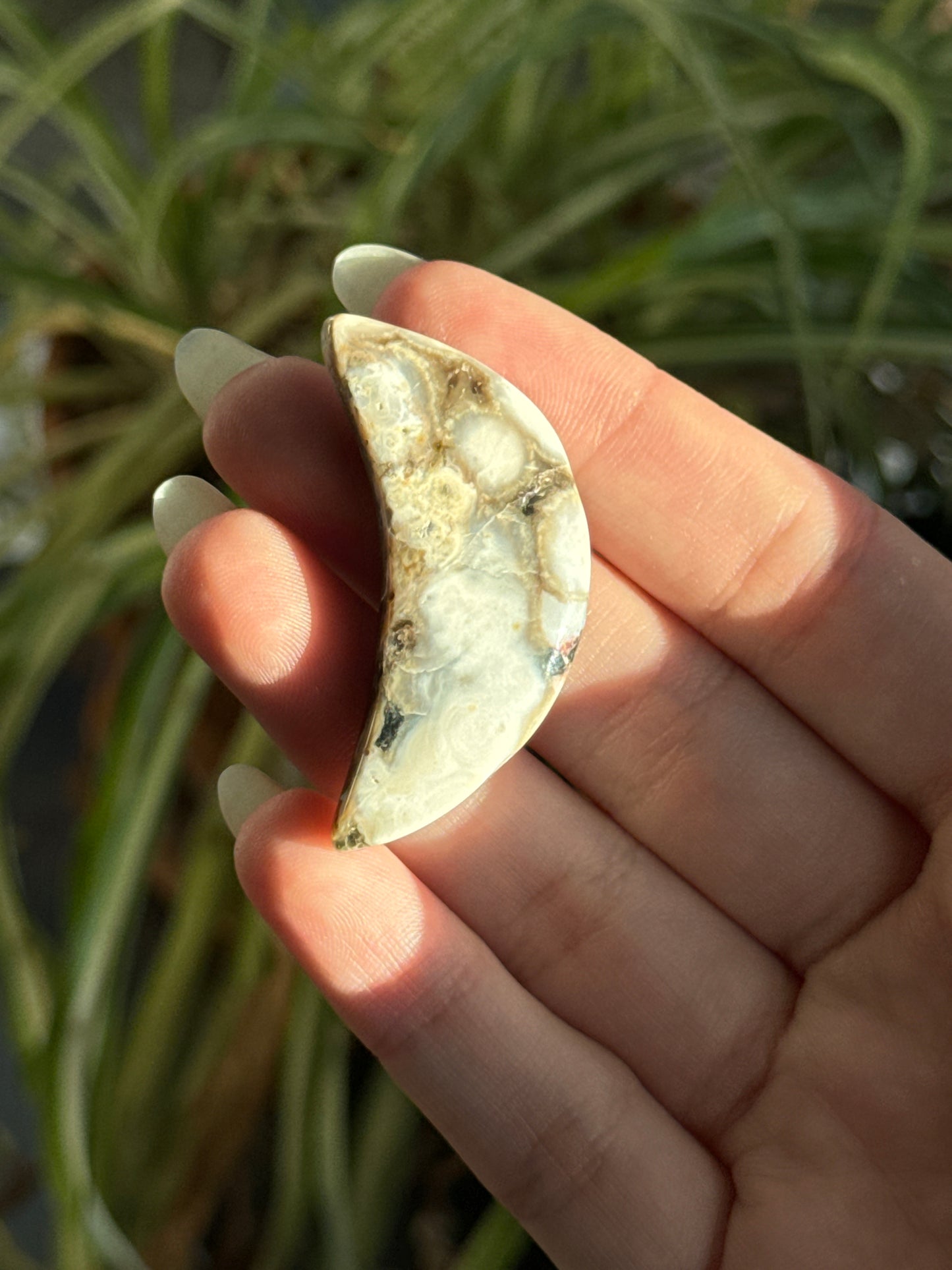 Sea Jasper Crescent Moon