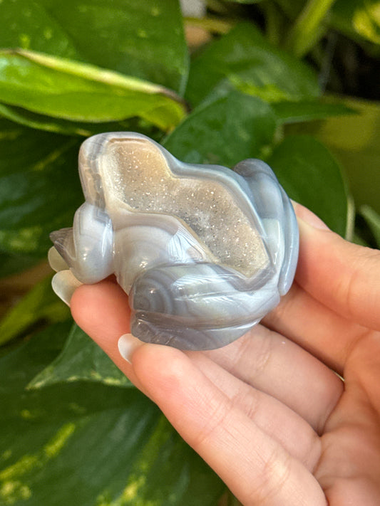 Druzy Agate Frog| You Pick