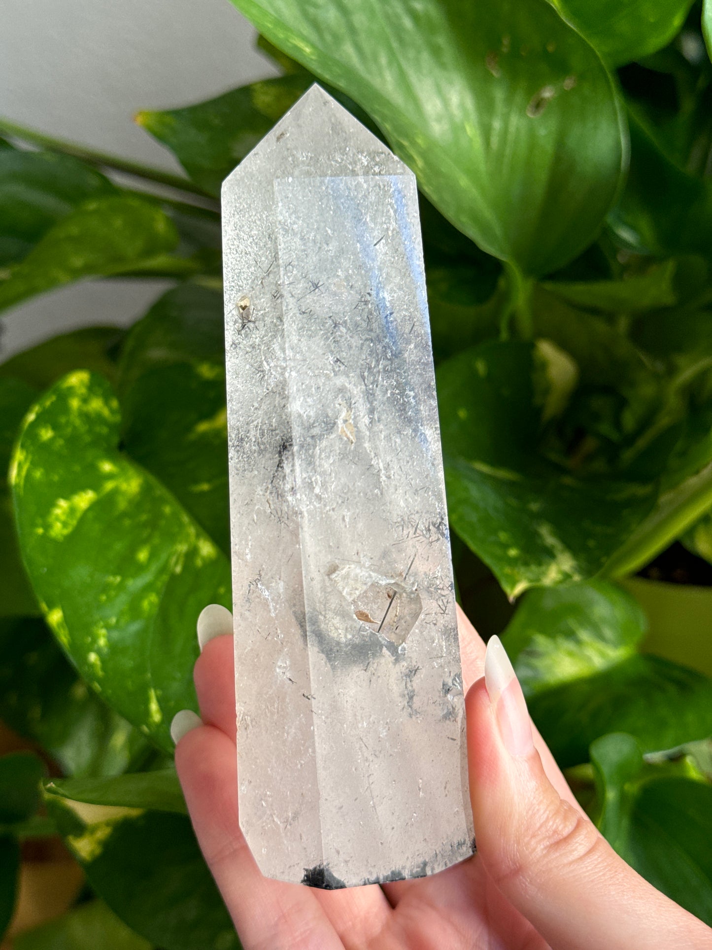 Black Tourmaline in Quartz Tower C