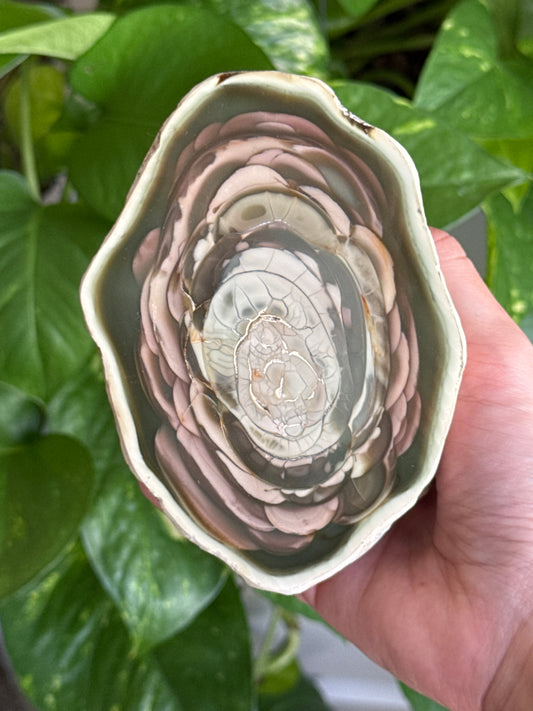 Large Statement Imperial Jasper Half Geode B