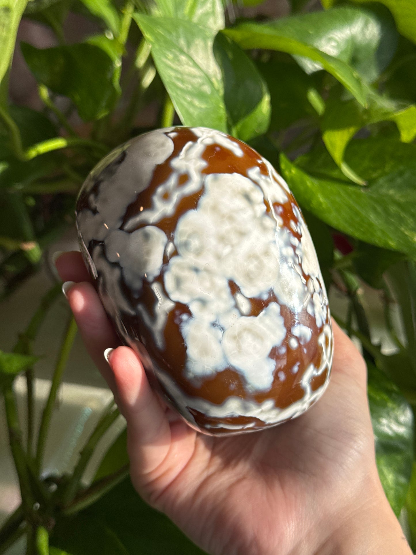 Unique Dreamy Carnelian & Quartz & Orca Agate Large Freeform