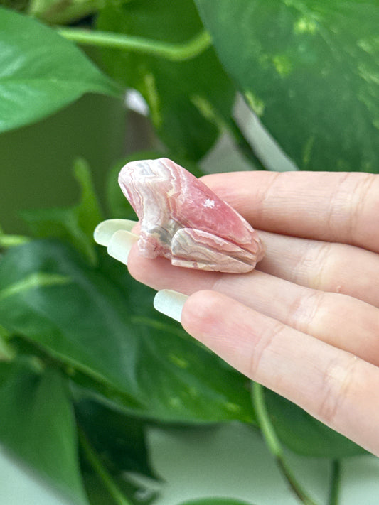 Rhodochrosite Hand Carved Frog