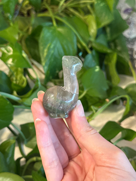 Fluorite Imperfect Alpaca