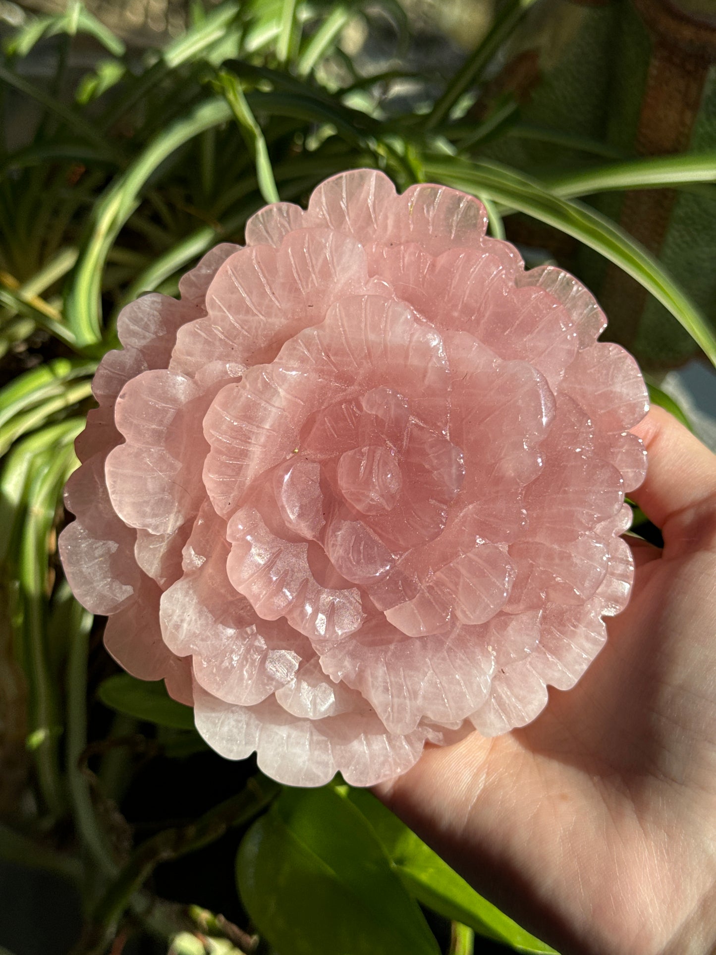 Statement Gemmy Rose Quartz Rose