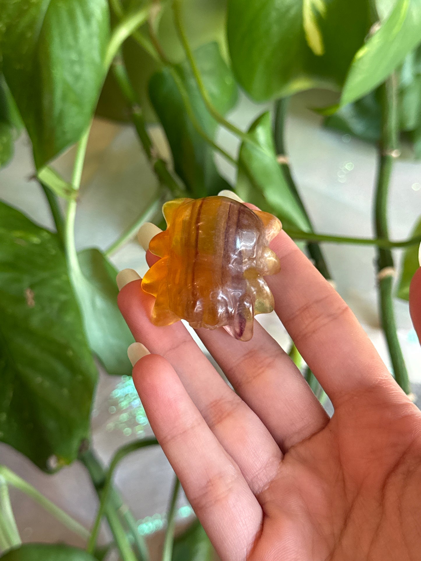 Yellow & Magenta Fluorite Chubby Tarantula Spider Carving