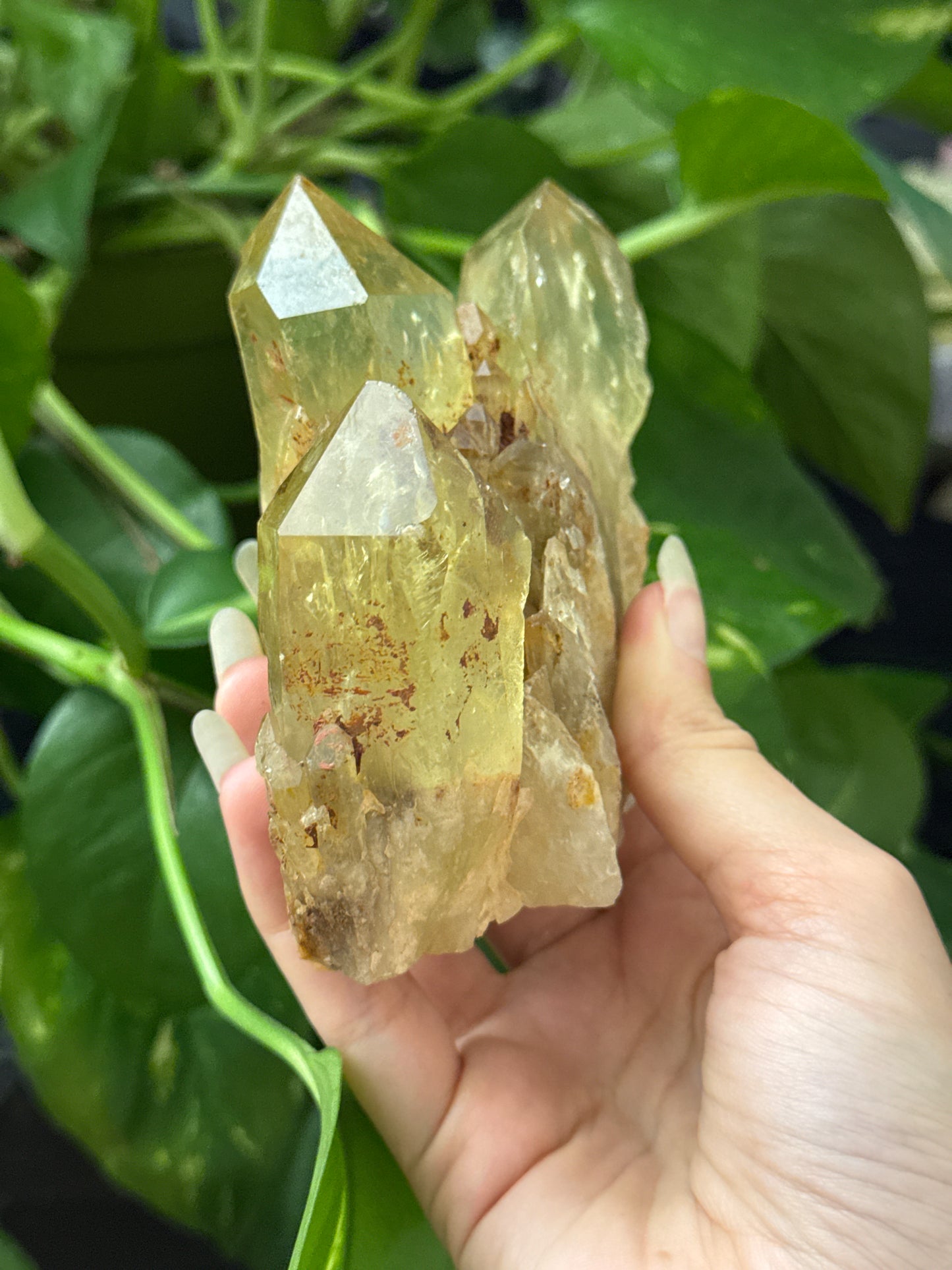 Natural Congo Citrine Specimen A
