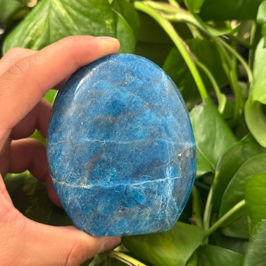 Sparkly Blue Apatite Freeform