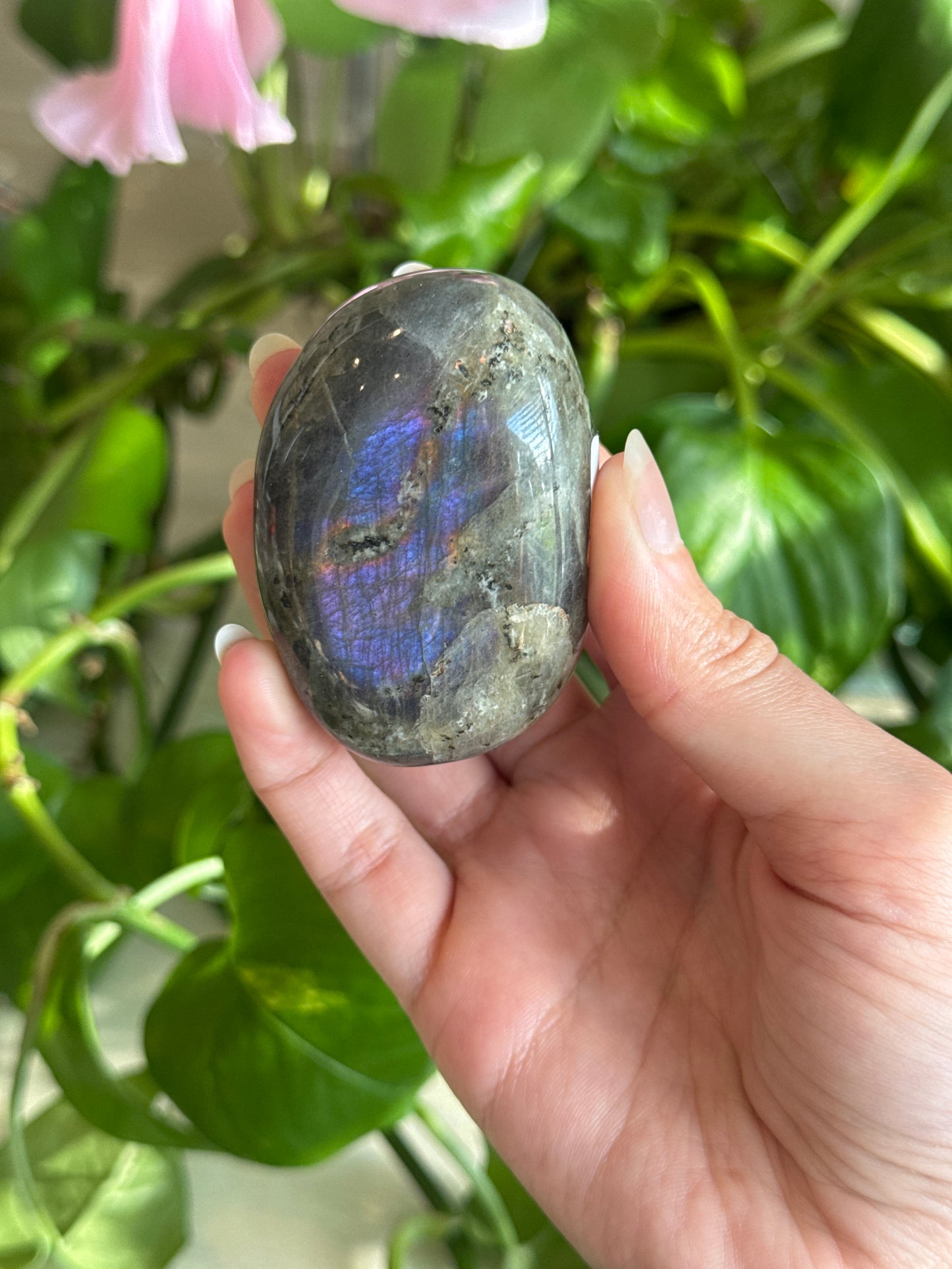 Labradorite Chubby Palm Stone A