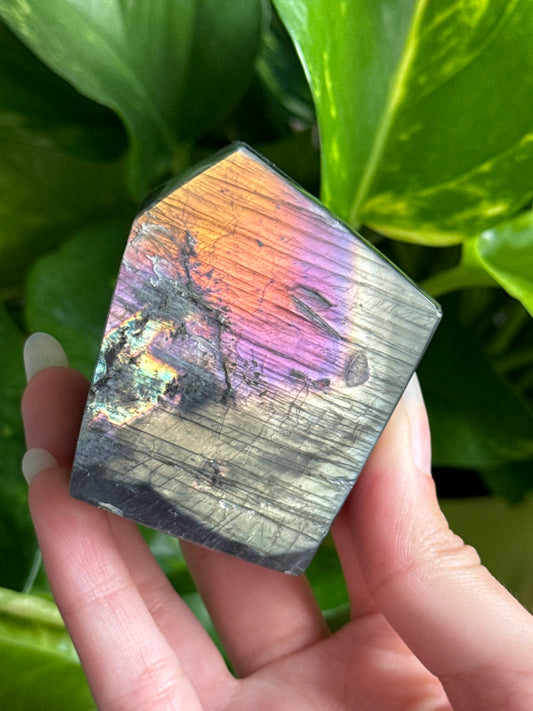 High Grade Rainbow Labradorite Freeform