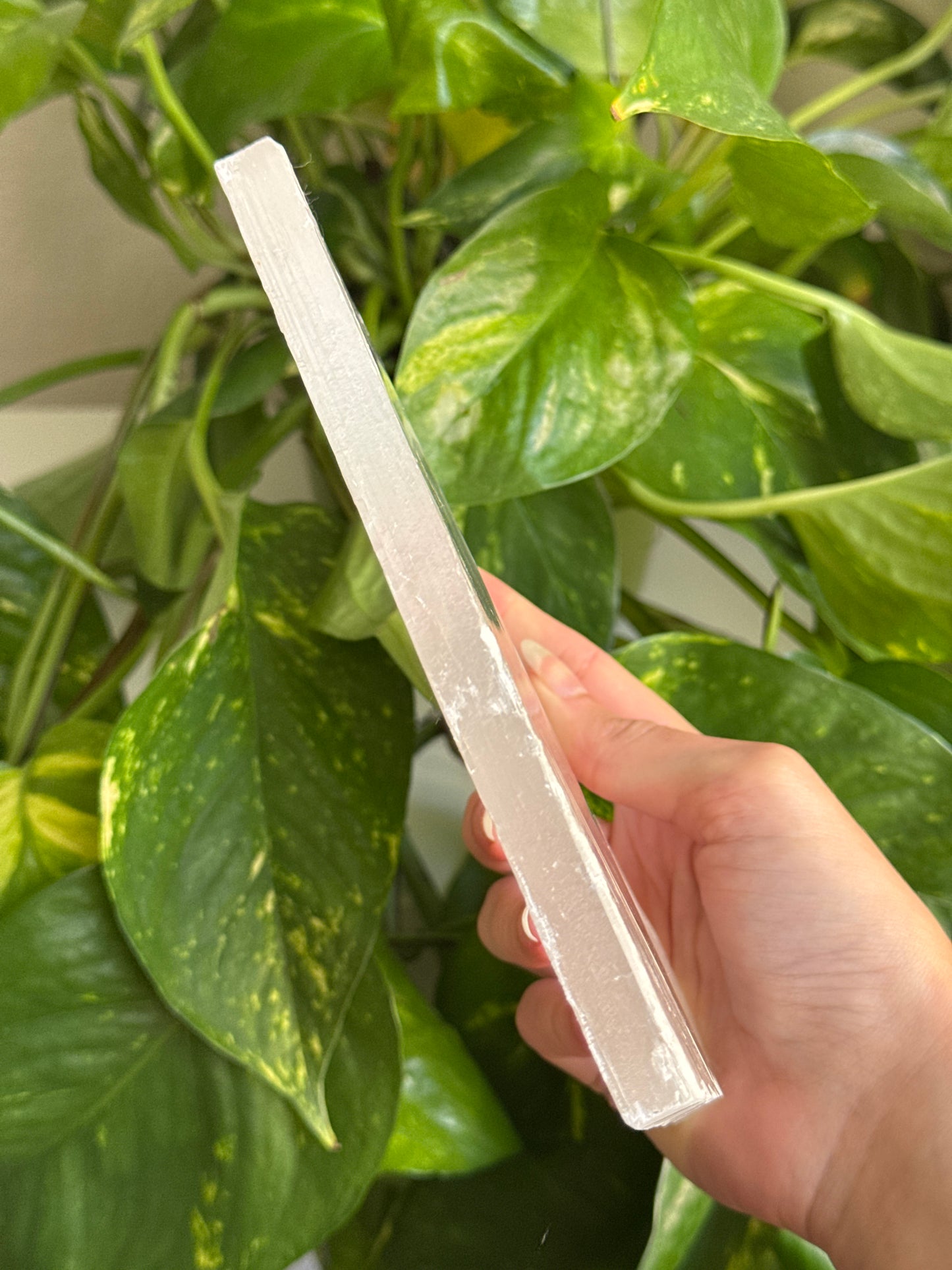 Super Clear Large True Selenite Slab