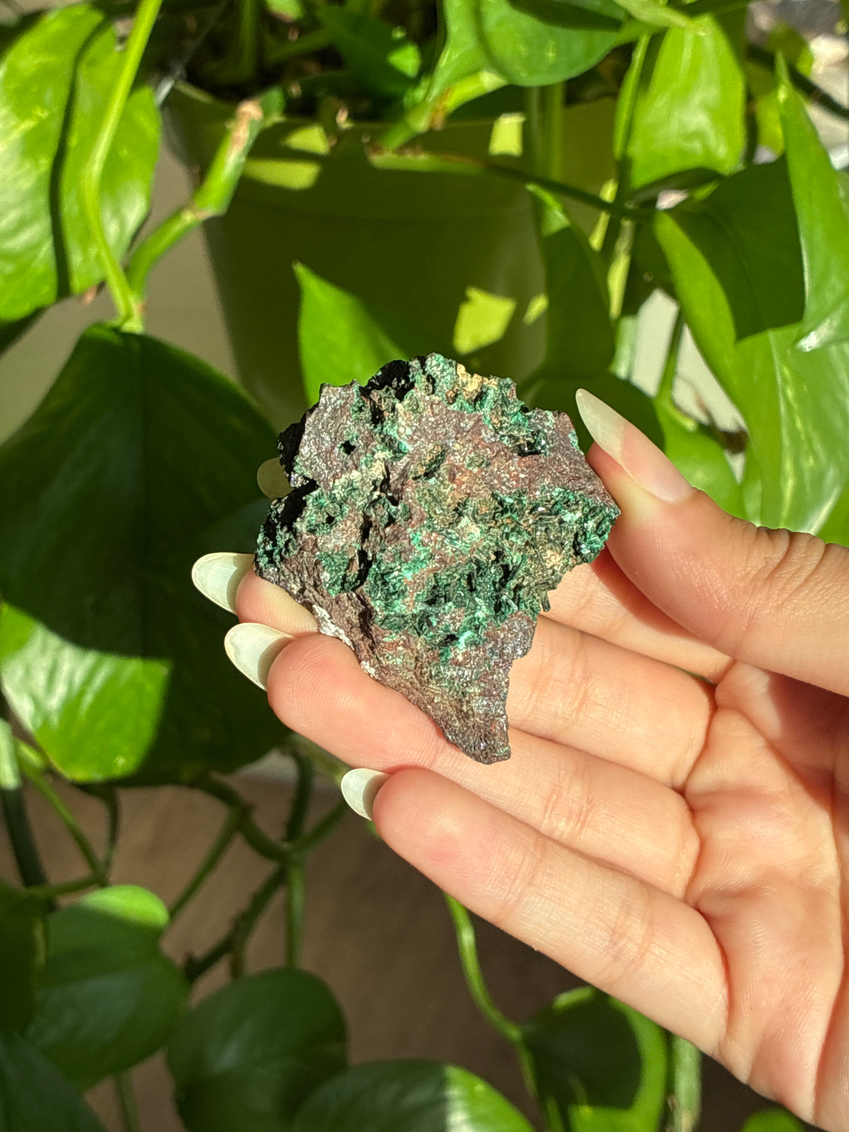 Sparkly Velvet Malachite on Matrix