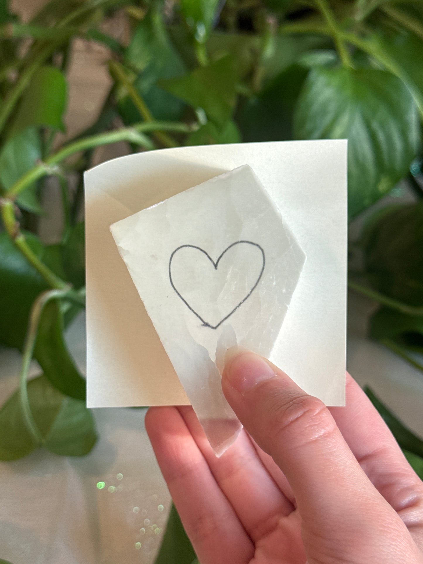 TV Selenite Specimen