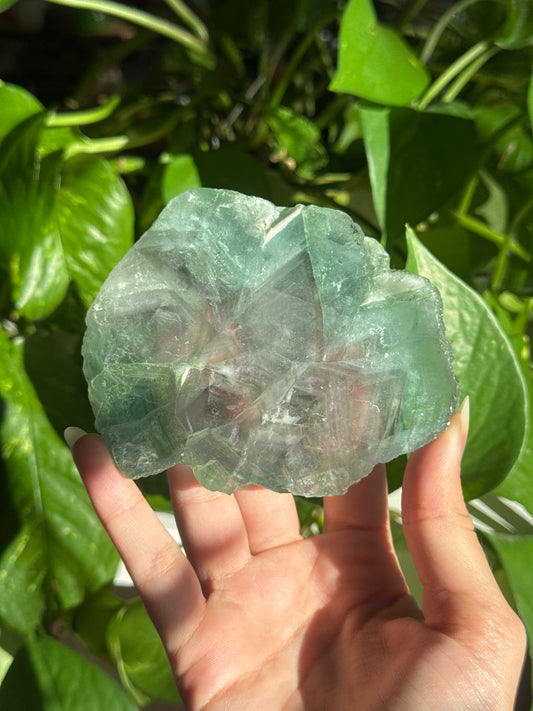 Fluorite Slab with Rainbows