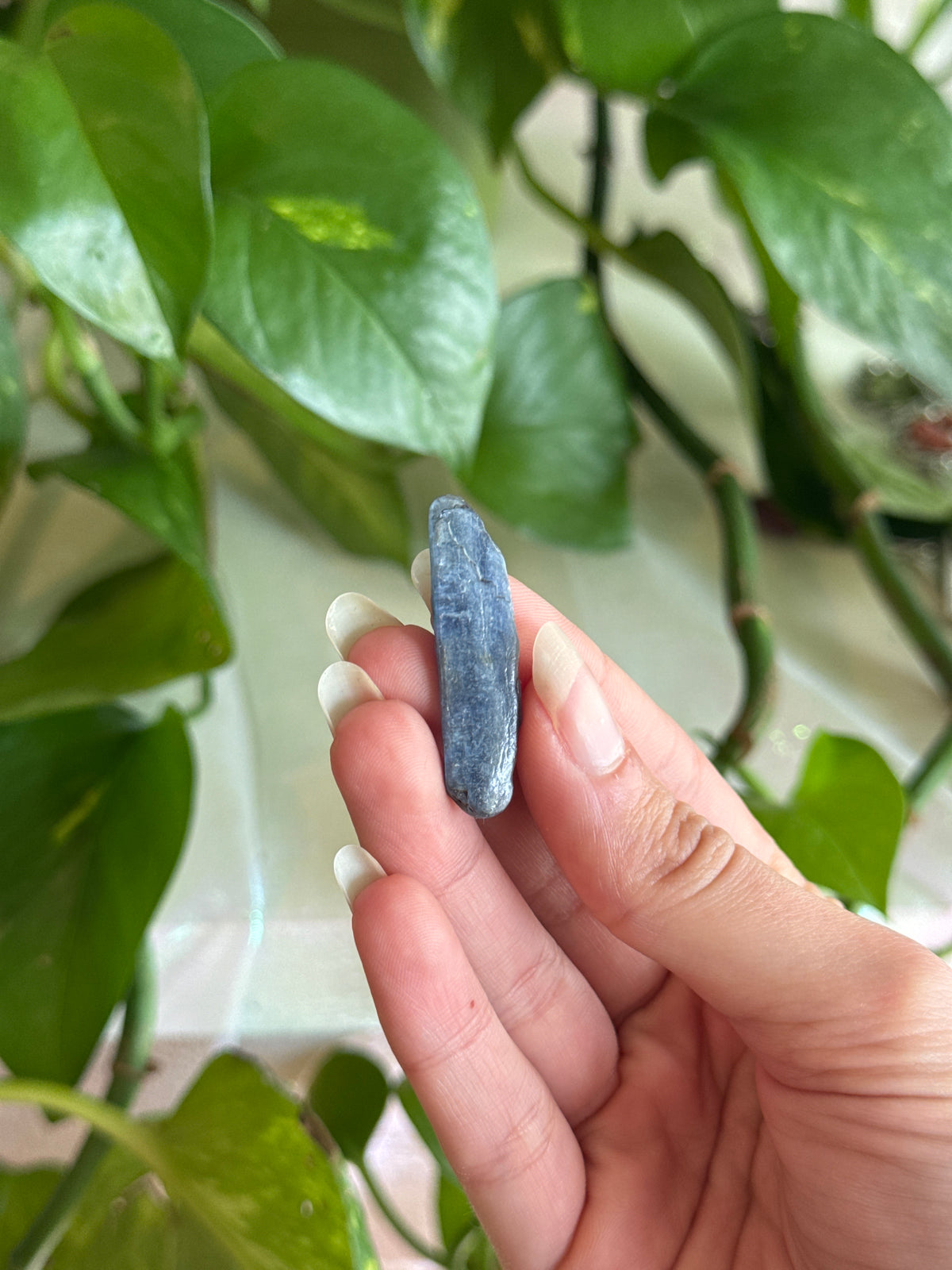 Kyanite Thin Long Tumble