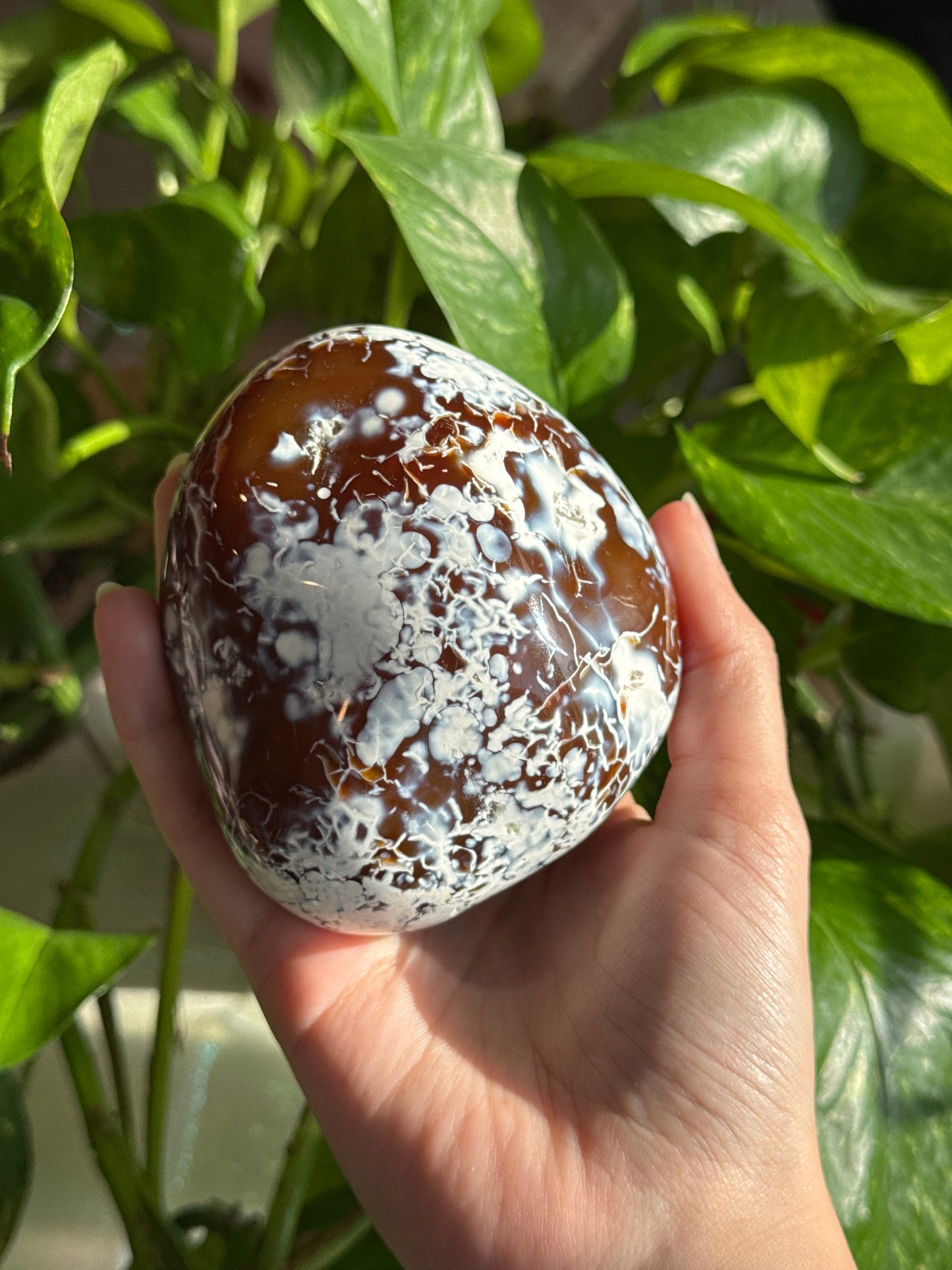 Unique Carnelian & ‘Flower’ Orca Agate Large Freeform