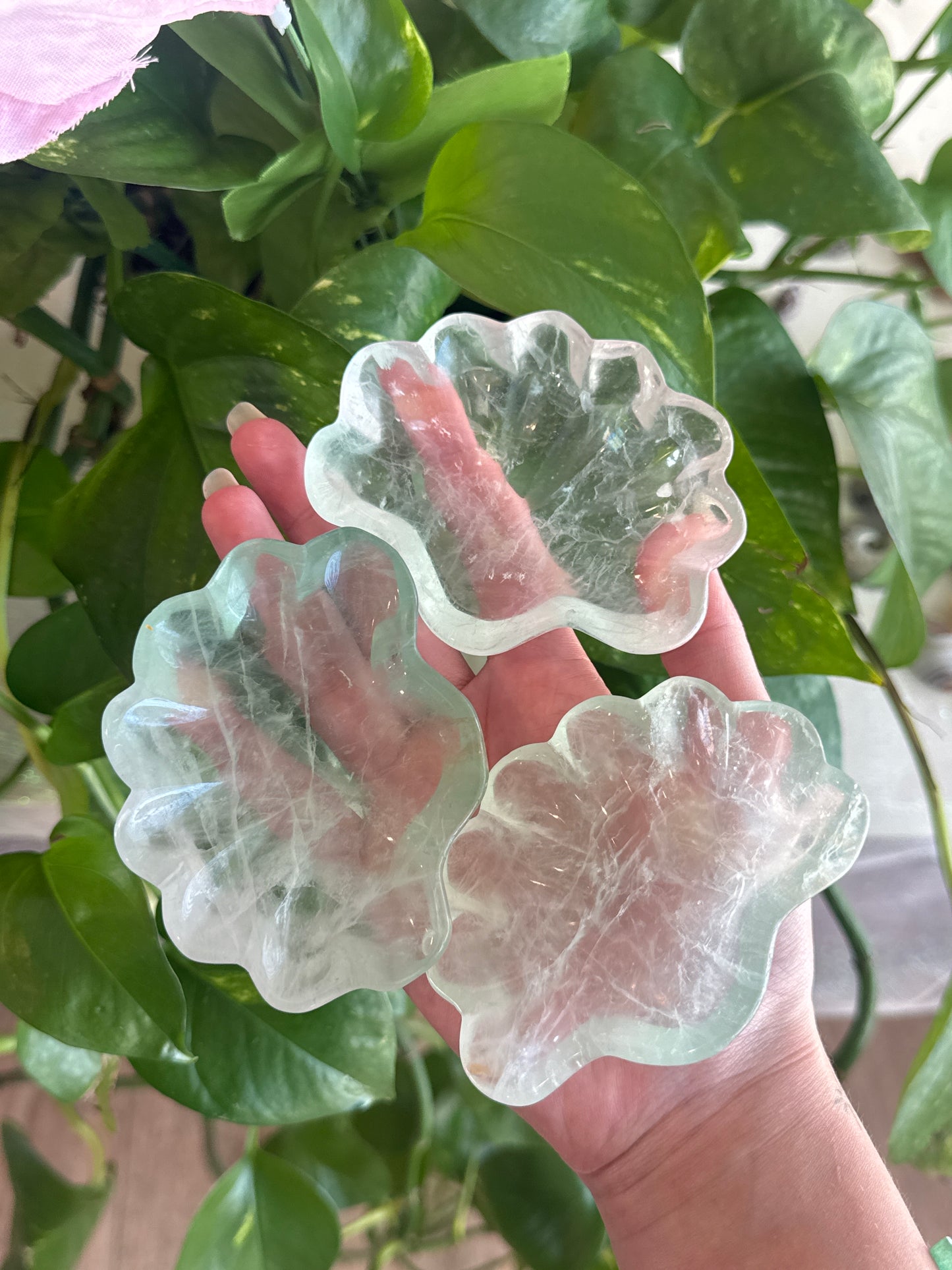 Super Clear Green Fluorite Shell Bowl