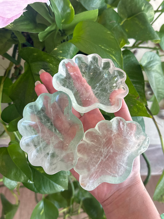 Super Clear Green Fluorite Shell Bowl