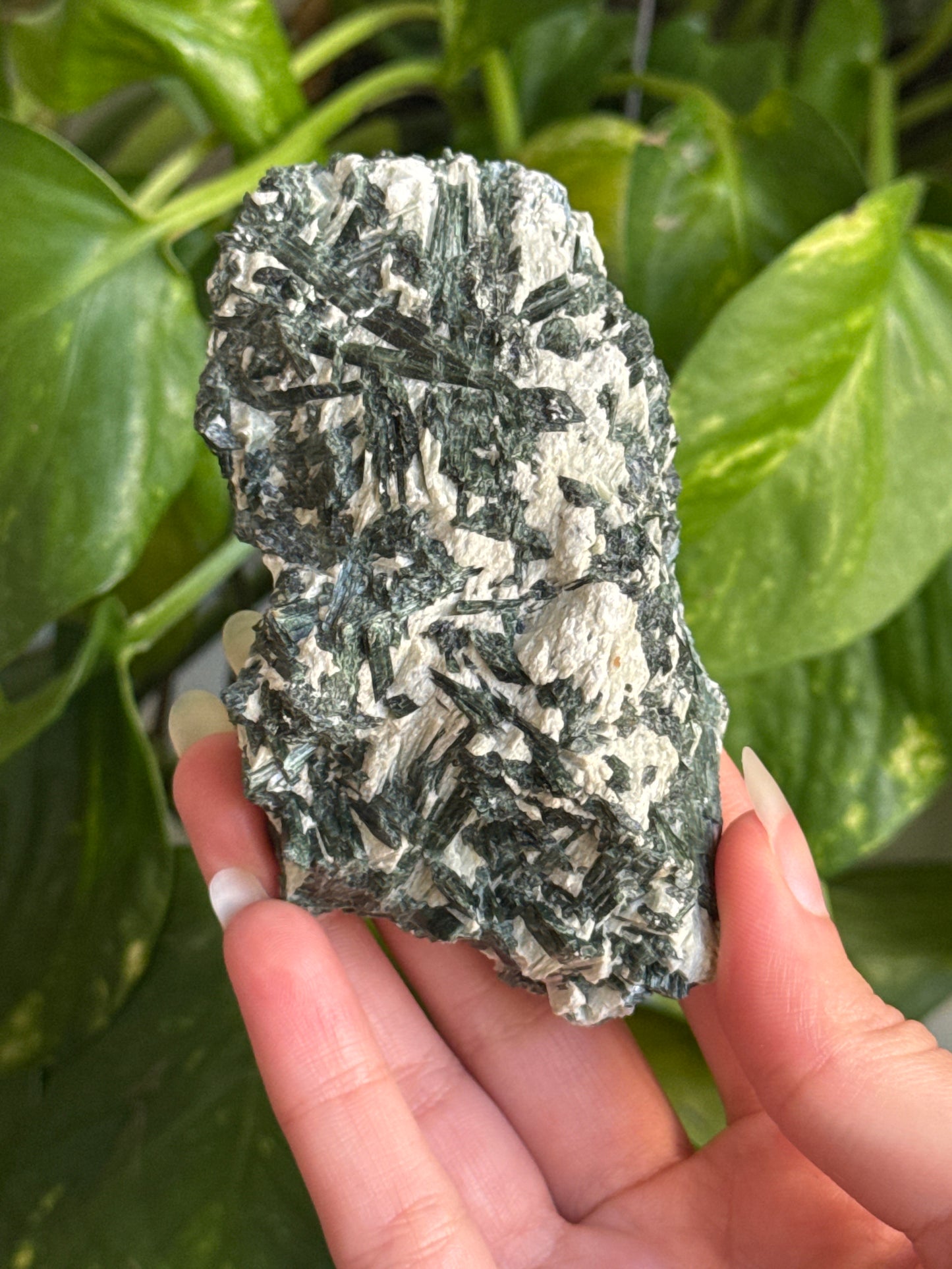 Exposed Actinolite on Quartz Specimen A