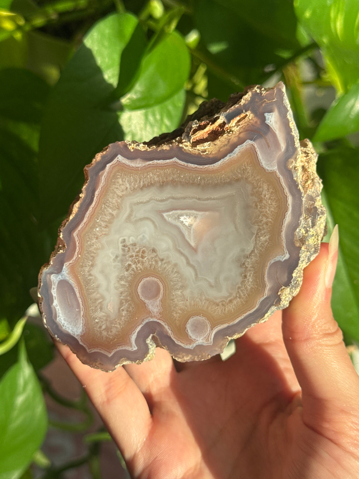Laguna Agate Geode Specimen