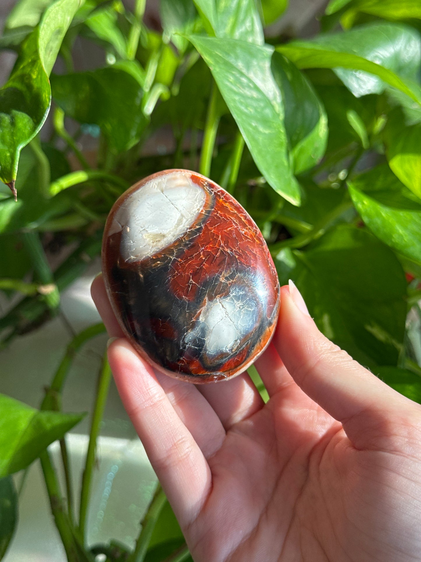 Half Moody, Half Pink Carnelian & Orca Agate Palmstone