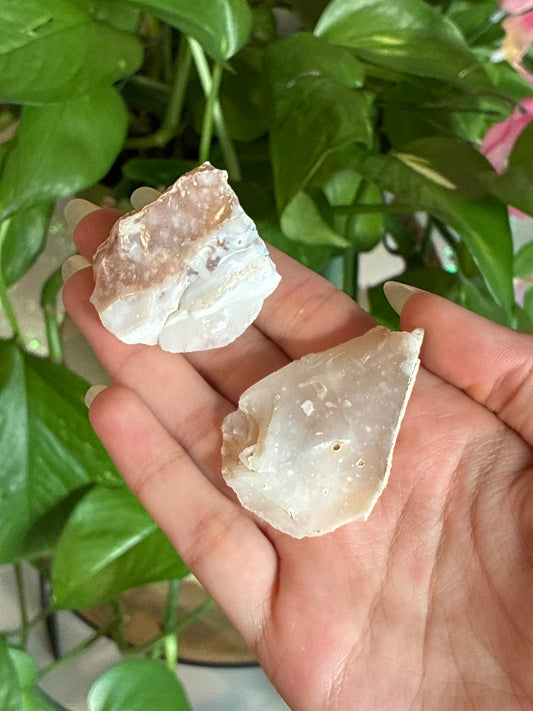 Raw Flower Agate Specimen Set of 2