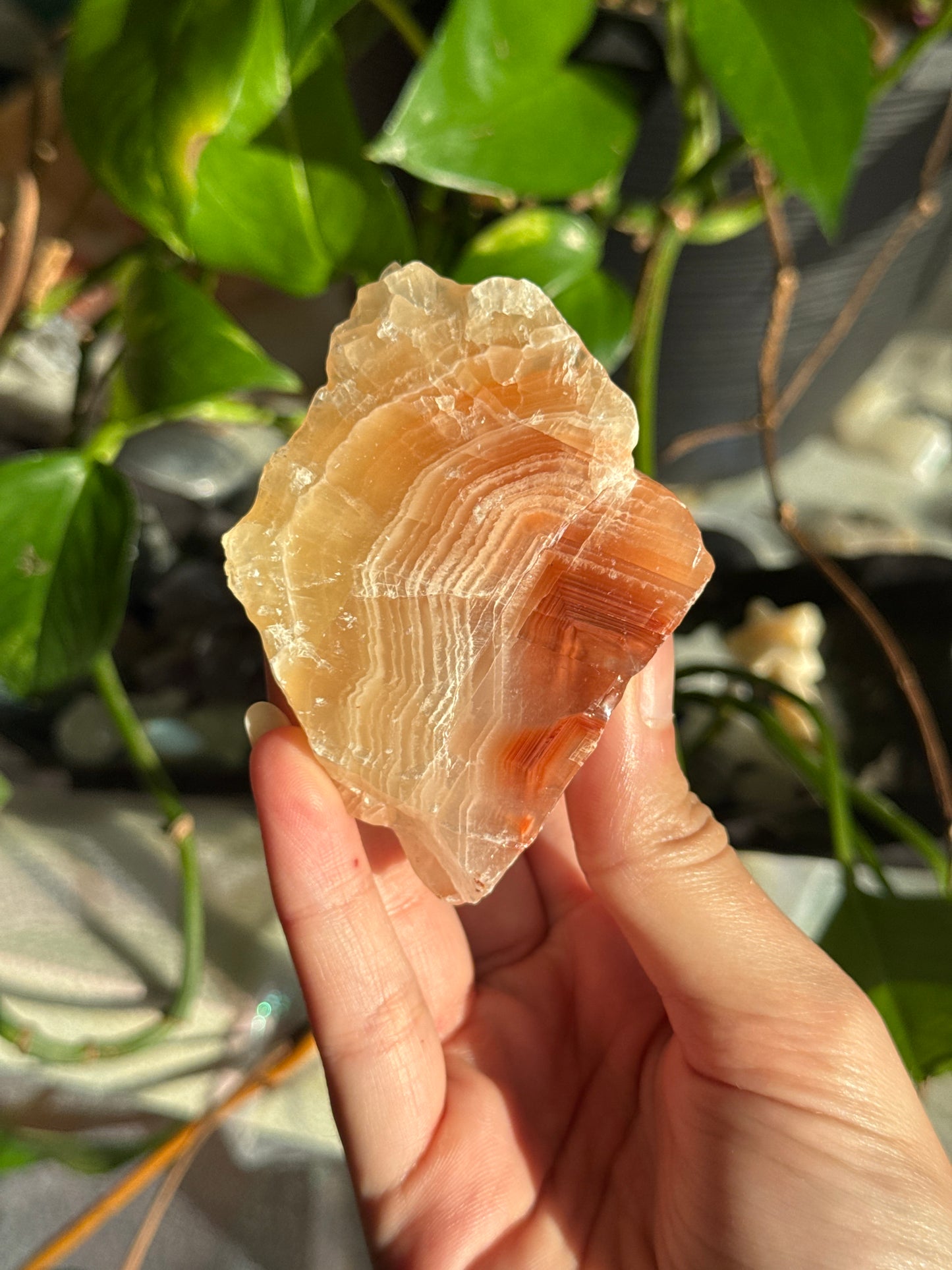 Peachy Banded Tri-Color Mexican Calcite A