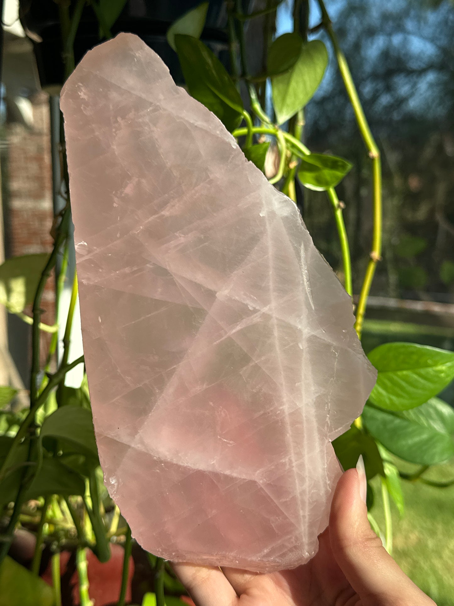 Bubblegum Rose Quartz Slab with Asterism