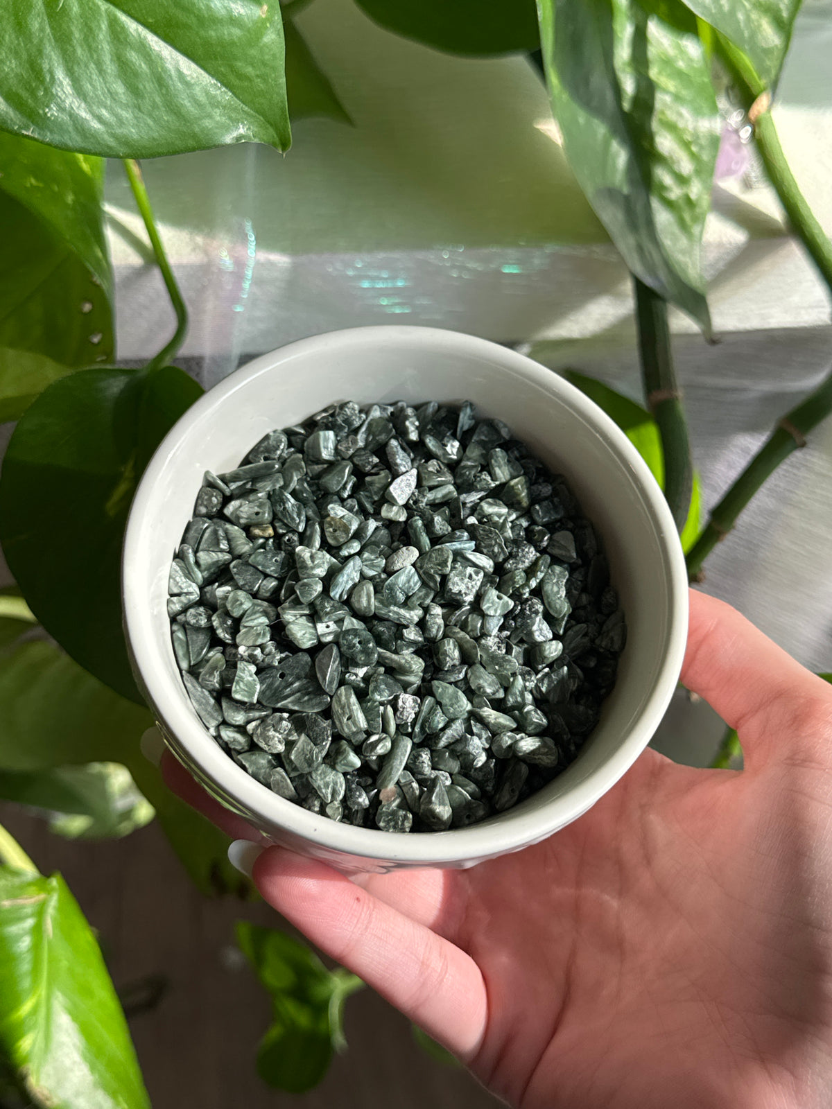 Small Seraphinite Chips