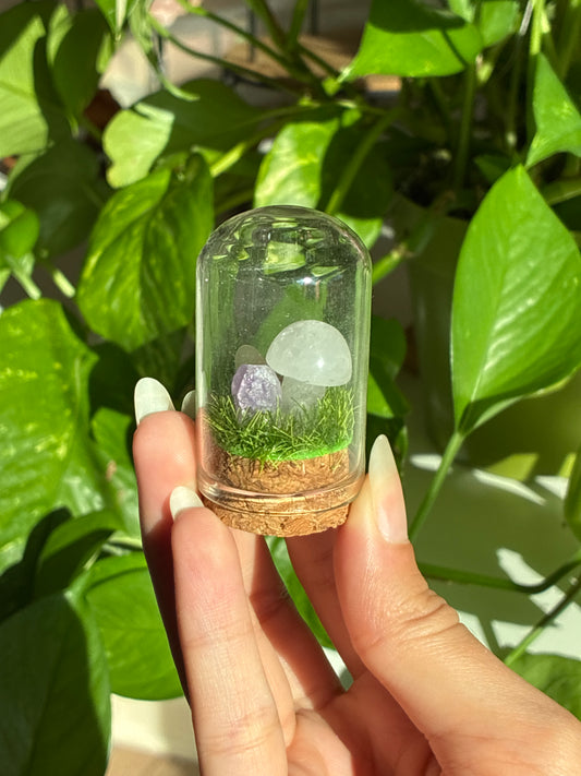 Clear Quartz Sodalite Mushroom & Raw Amethyst ‘Cleansing’ Mini Terrarium