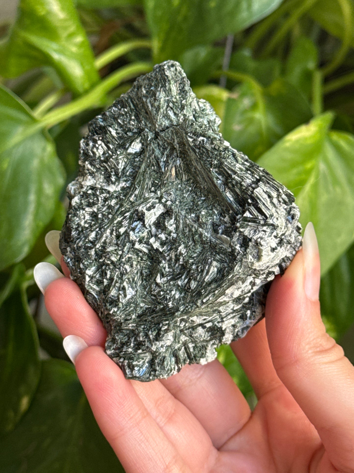 Exposed Actinolite on Quartz Specimen B