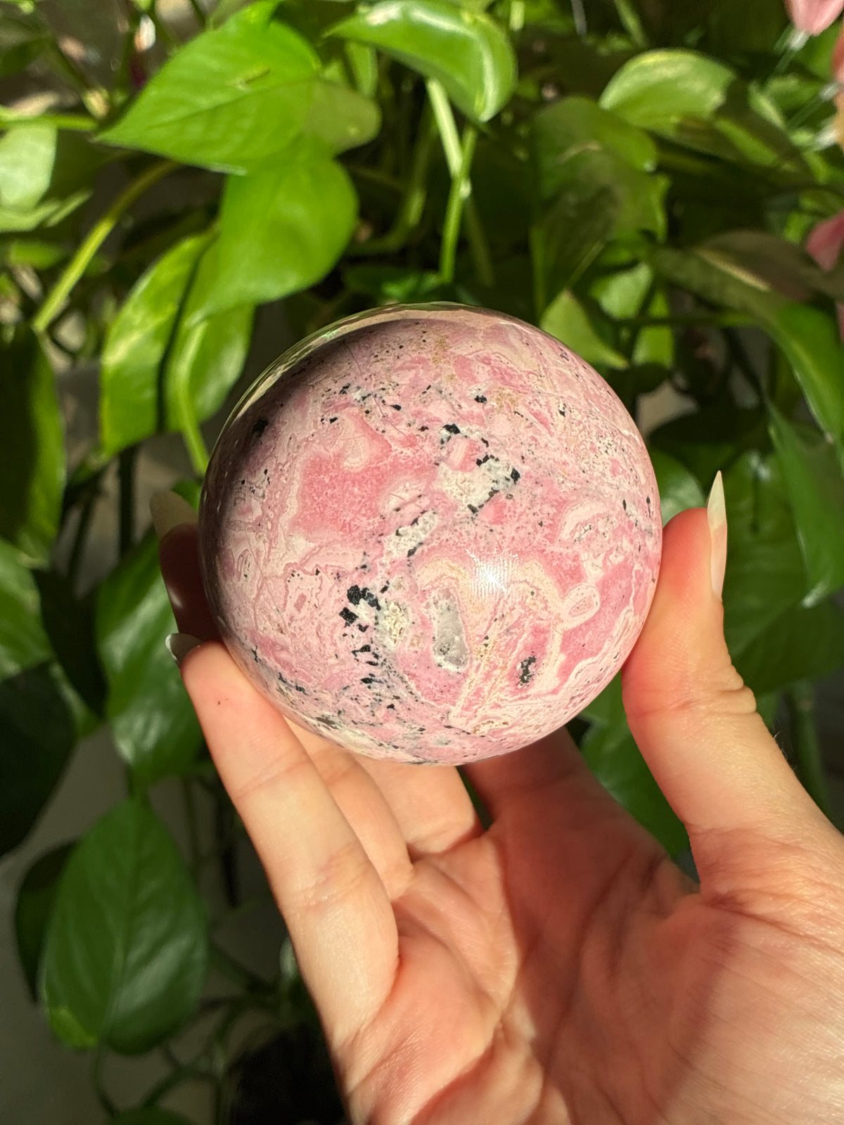 Large Bubblegum Rhodonite Sphere