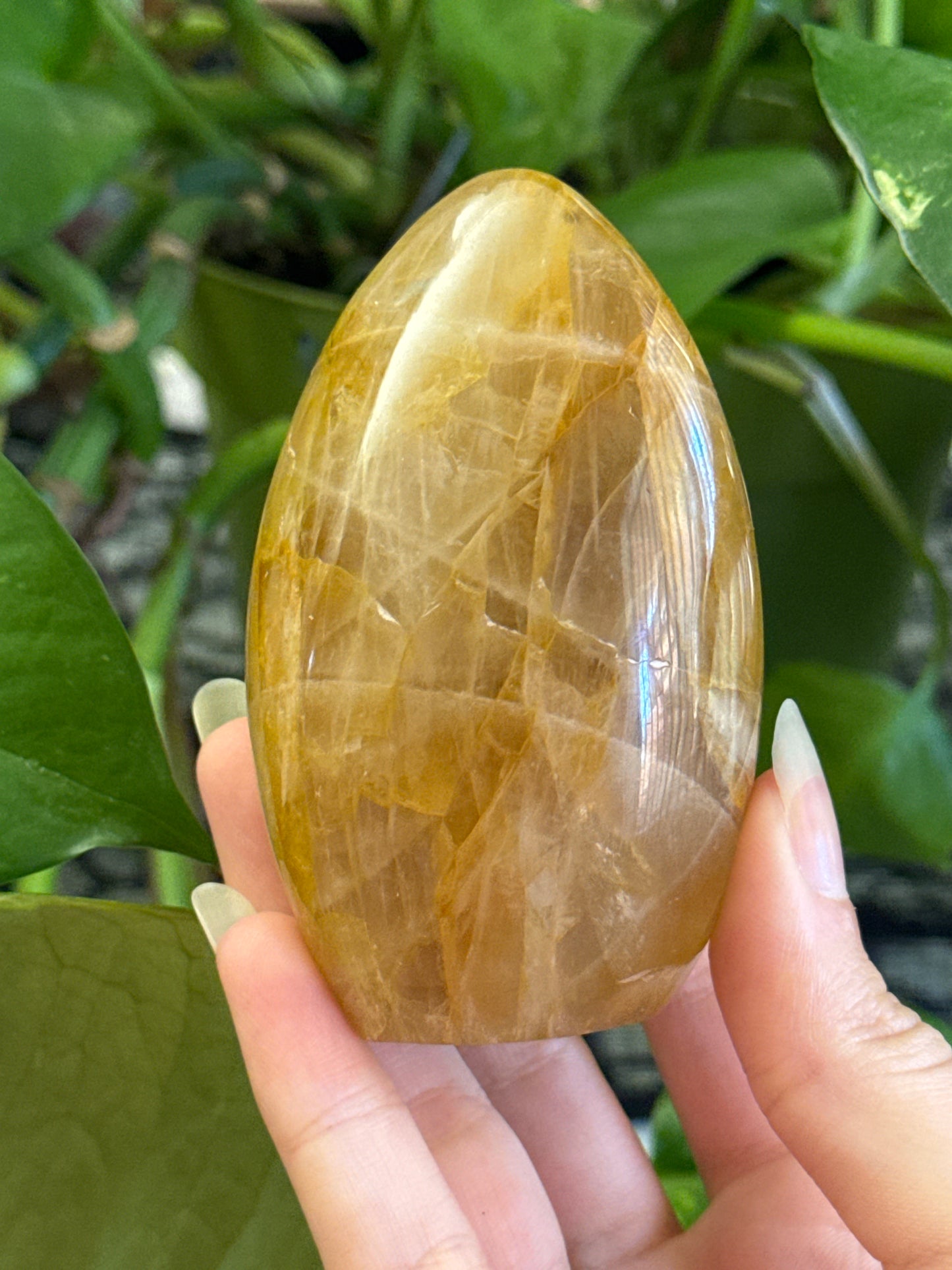 Star Flash Golden Healer Freeform A *see vid for asterism*