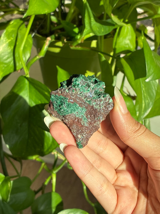Sparkly Velvet Malachite on Matrix