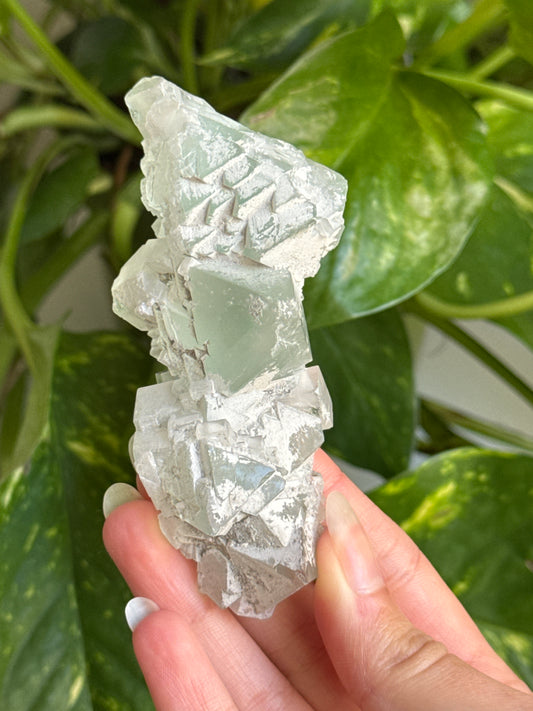 Snowy Cubic Fluorite Specimen